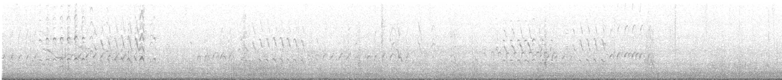 Kara Karınlı Islıkçı Ördek - ML492108501