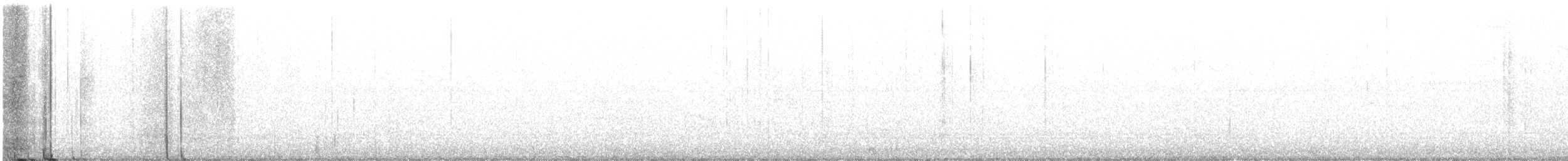 Aura Gallipavo - ML492178641