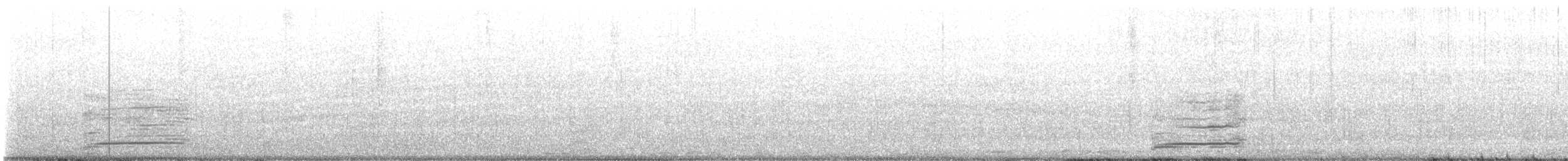 svanegås (domestisert) - ML492197851