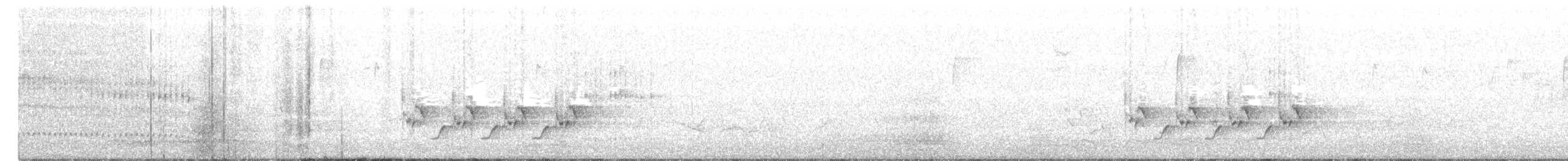 Каролинский крапивник - ML49222811