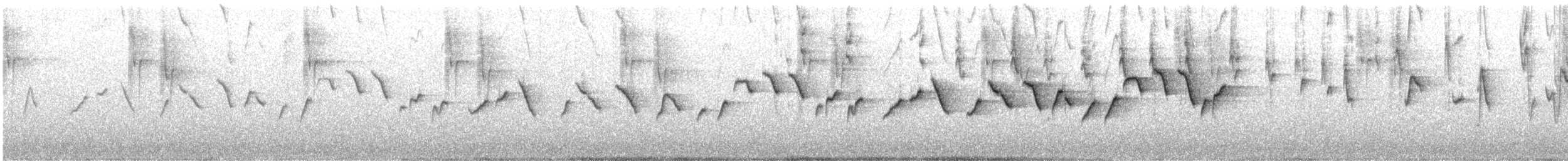 Schwarzohr-Waldsänger - ML492243501