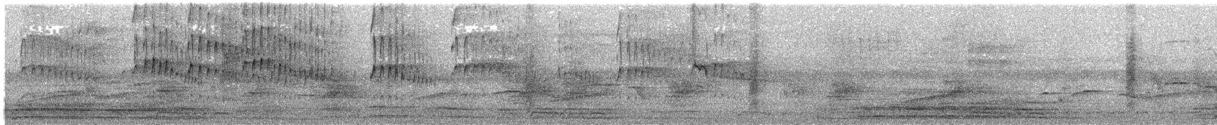 Домовый стриж - ML492291841