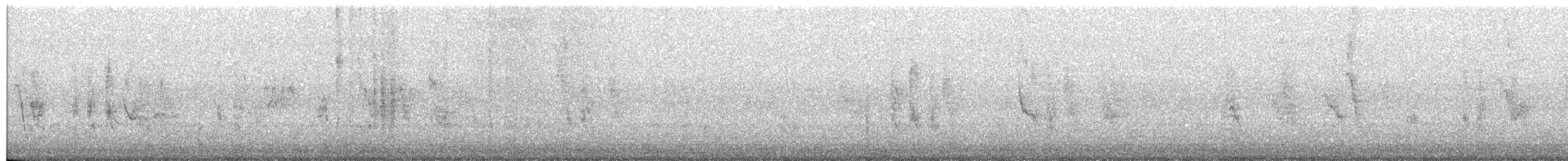 Скеляр синій - ML492328151