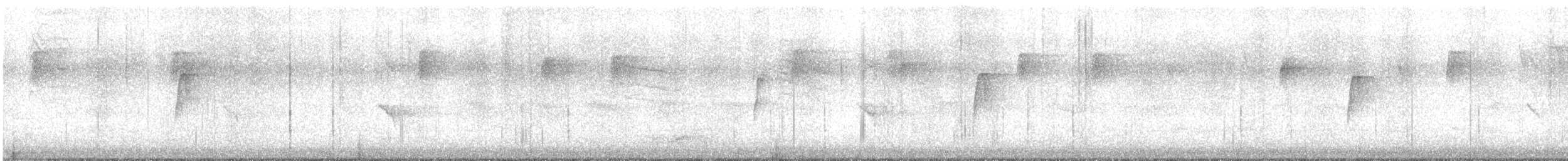 Moucherolle vert - ML492328481