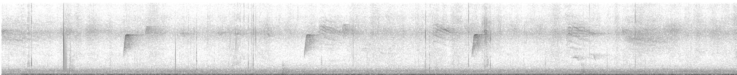 Moucherolle vert - ML492328491