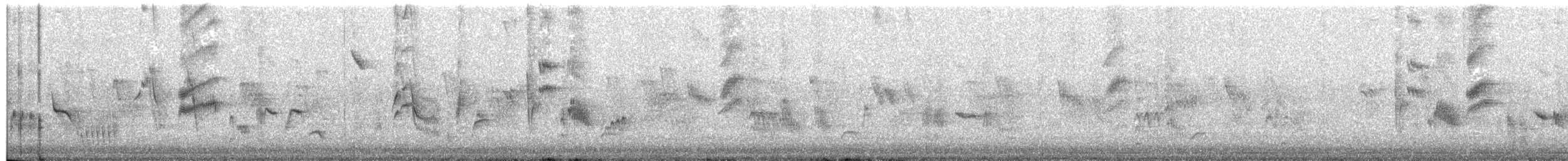 Скеляр синій - ML492328531