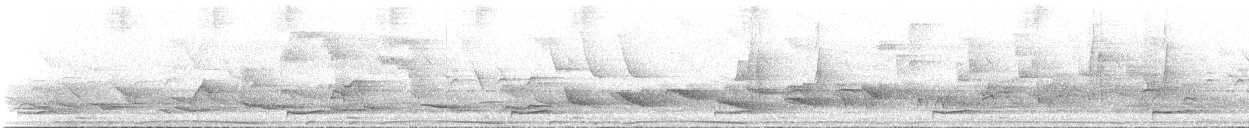 Bändernachtschwalbe - ML492329471