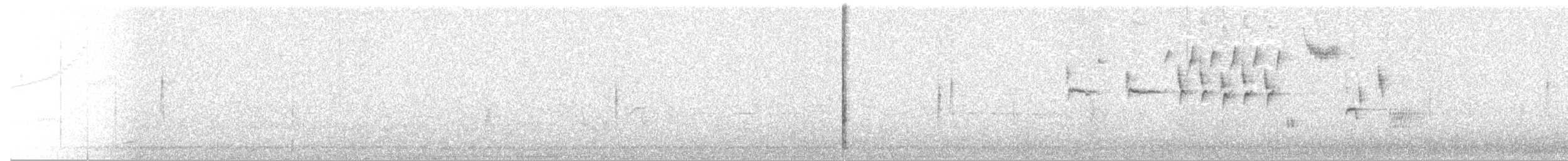 Singammer (melodia/atlantica) - ML492335471