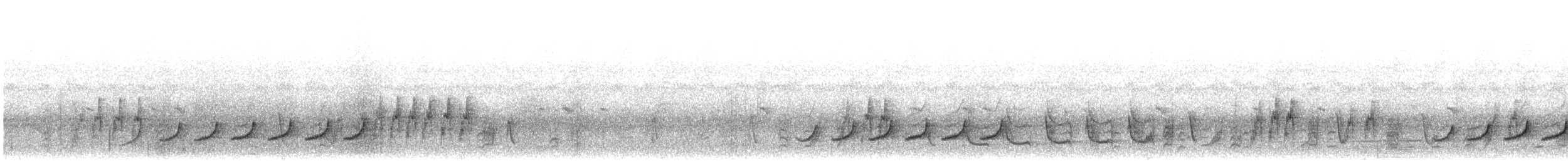 Paradoxornis fléché - ML492351381