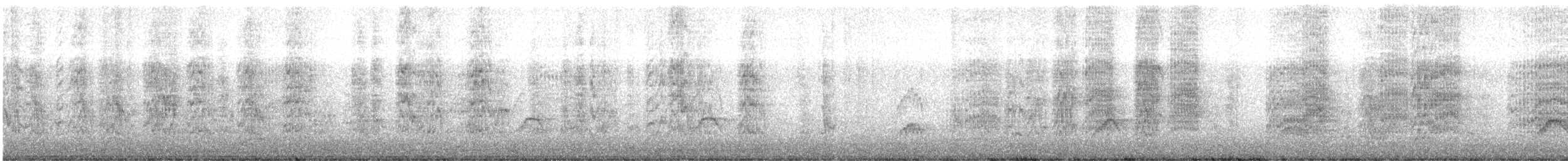 Calopsitte élégante (forme domestique) - ML492382721