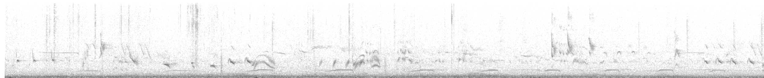 California Thrasher - ML492424971