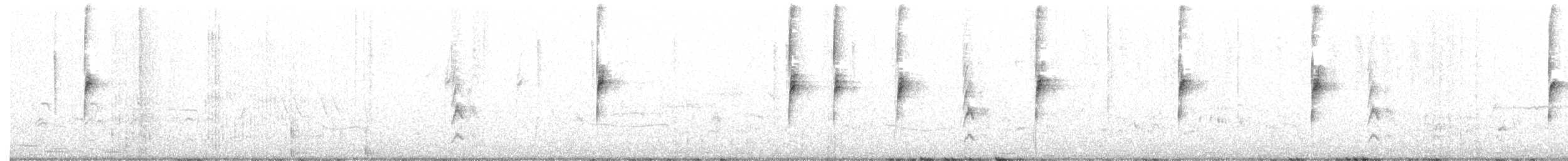 White-crowned Sparrow - ML492425021