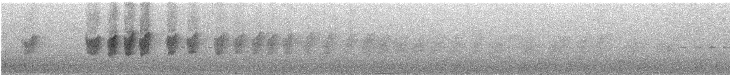 Вилохвістка плямиста - ML492441731