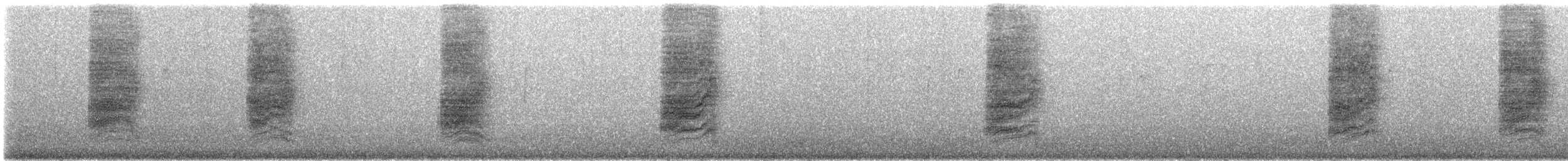 Geai de Woodhouse - ML492474021