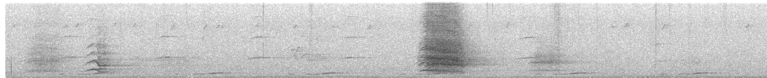 holub bažantí - ML492500091