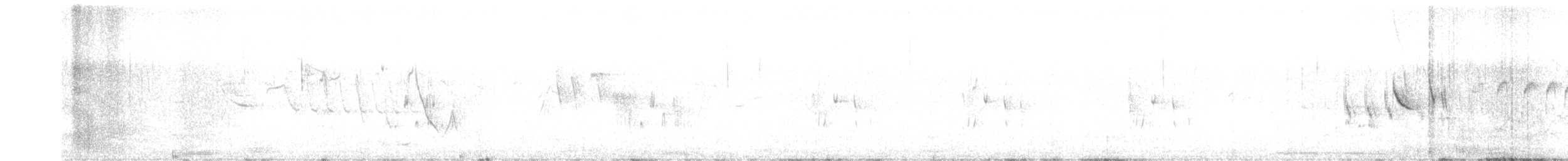 Серогрудый трескунчик - ML492560671