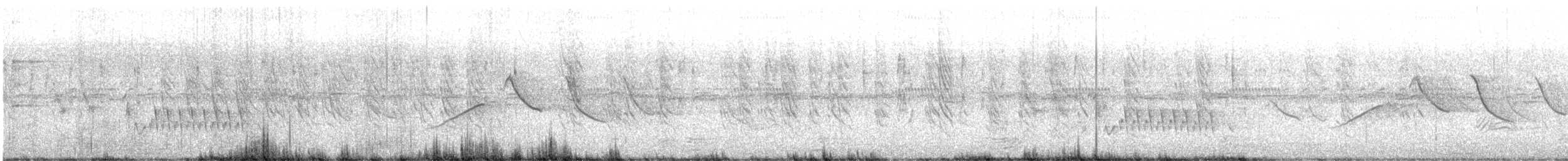 橫斑梅花雀 - ML492563601
