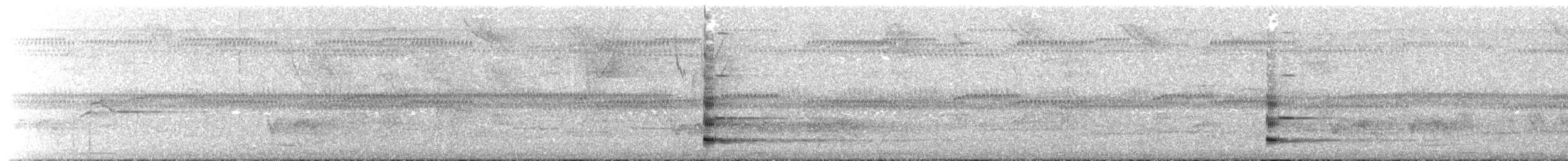 Bare-throated Bellbird - ML492590211