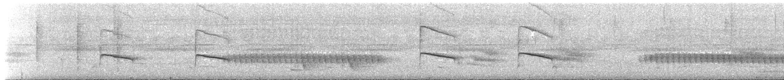 Unicolored Antwren - ML492591081