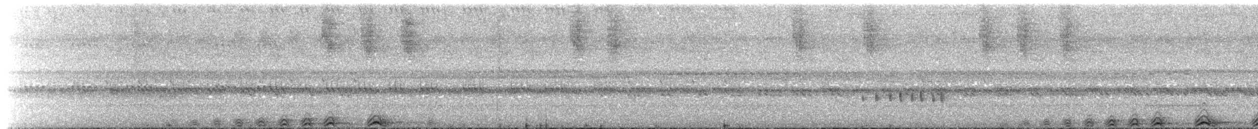 Black-banded Owl - ML492591701