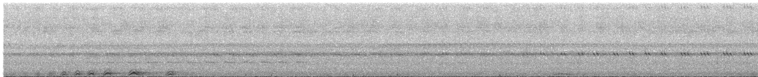 Black-banded Owl - ML492591711