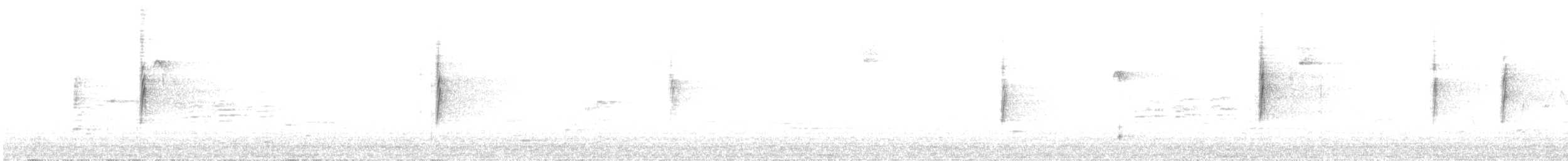 Yellow-rumped Warbler - ML492617121