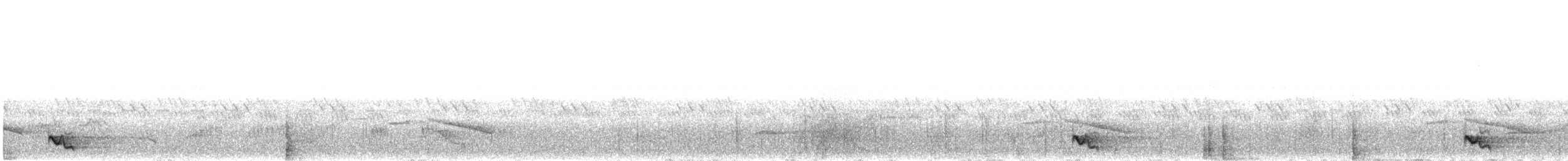 Spot-breasted Scimitar-Babbler - ML492675491