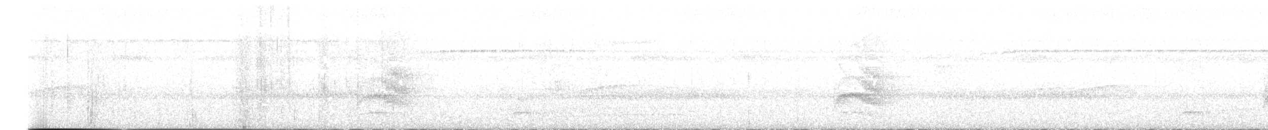 Braunrücken-Ameisenvogel - ML492679931