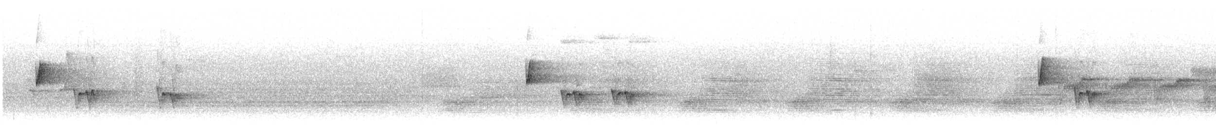 Серобрюхая короткохвостка - ML492682181