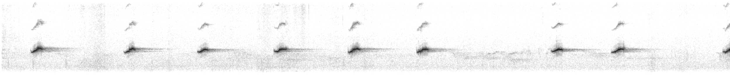 White-browed Bush-Robin - ML492685121