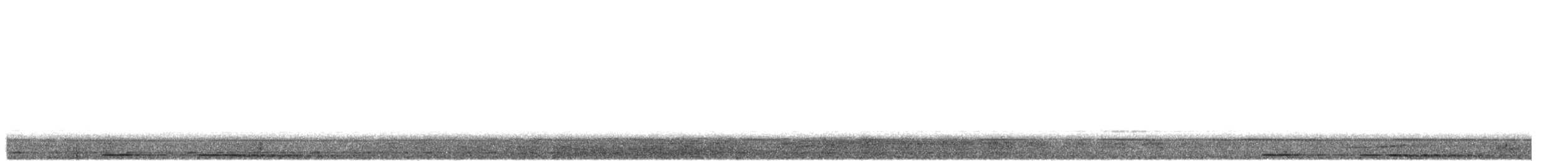 Борнейская воронья кукушка - ML492738851