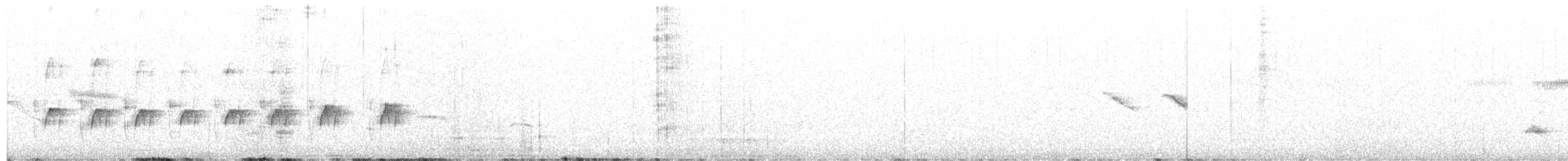 Fadenschwanzschlüpfer - ML492835501