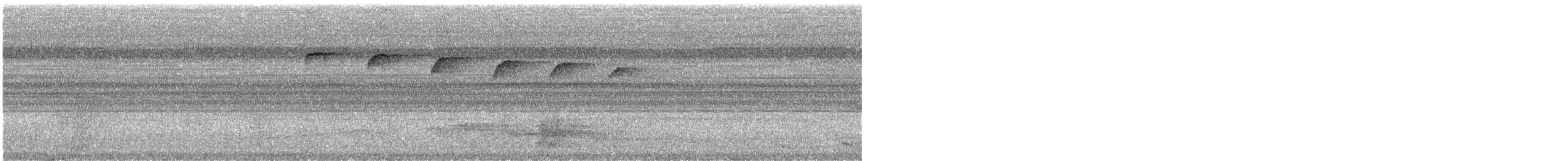 Golden-spangled Piculet (Bahia) - ML492873391