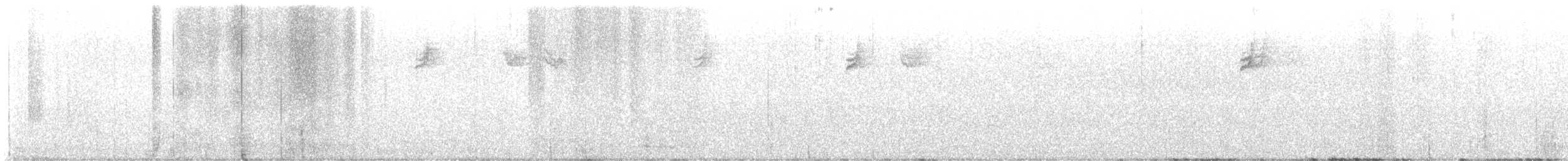 White-crowned Sparrow - ML492946571