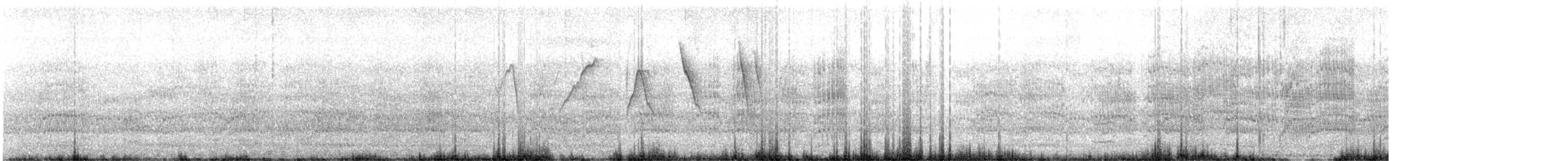 コバシマユシトド - ML492953281