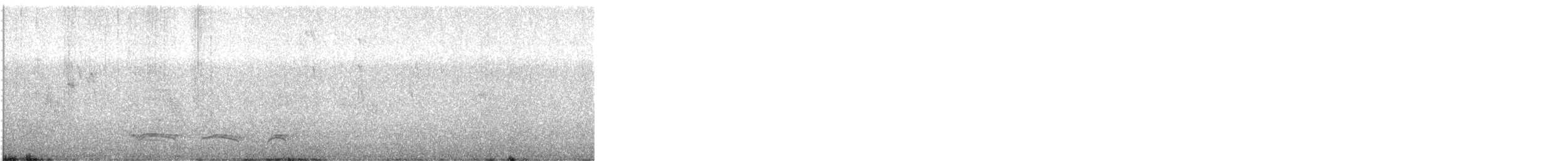 Лінивка-смугохвіст плямистобока - ML492955241