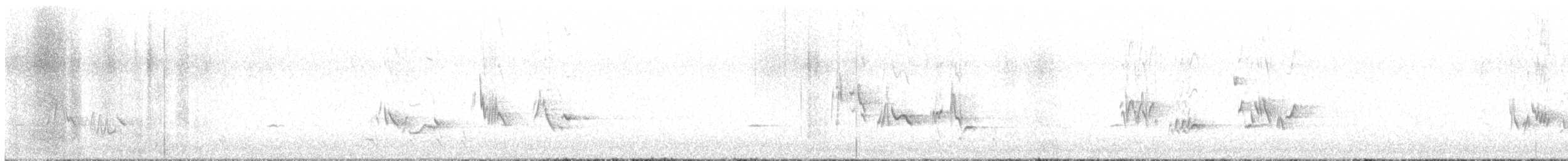 Townsend's Solitaire - ML492969271