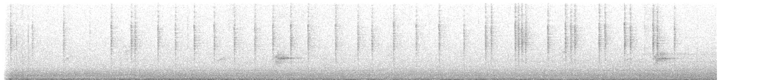 Colibri de Xantus - ML492970541