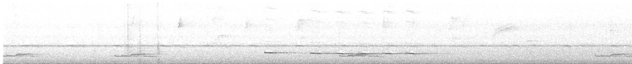 Graubrust-Ameisendrossel - ML493011751