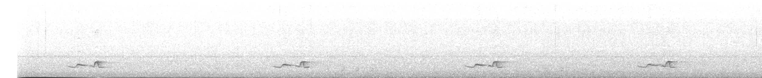 Troglodyte à poitrine blanche - ML493013091