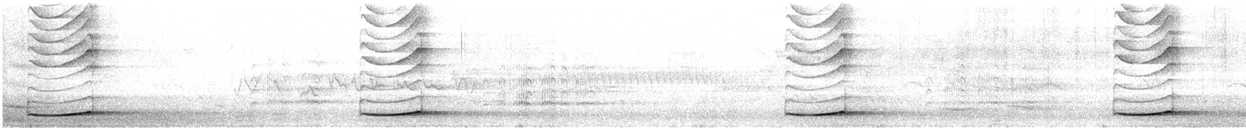 Тихоокеанский коэль - ML493019171
