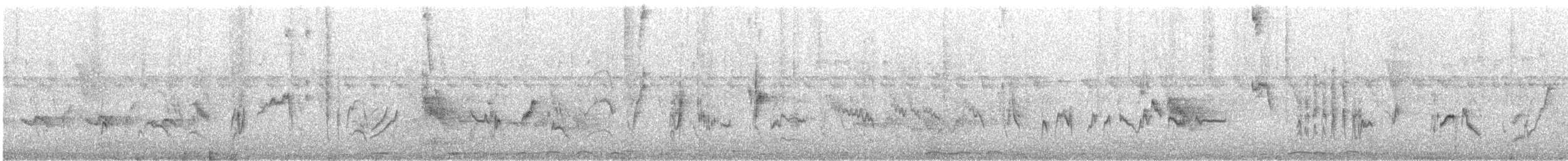 Northern Yellow White-eye - ML493035961