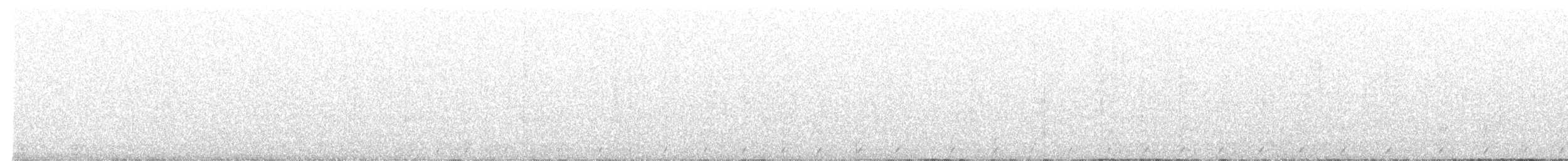 jeřábek kanadský - ML493047541