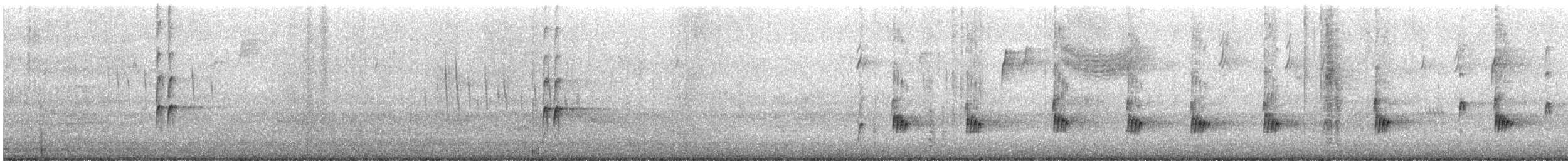 Поплітник каролінський - ML493062531