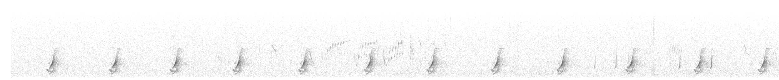 斑胸秧雞 - ML493072331