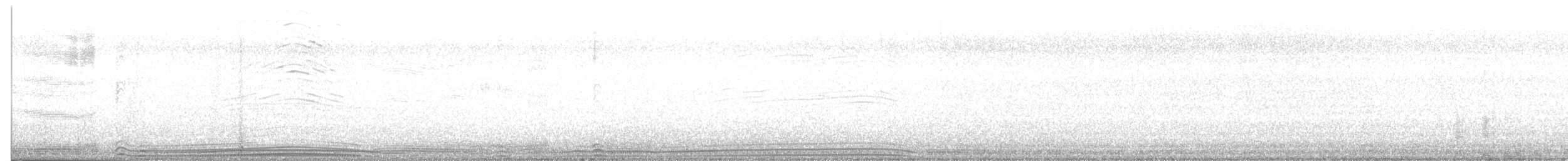 Wedge-tailed Shearwater - ML493089631