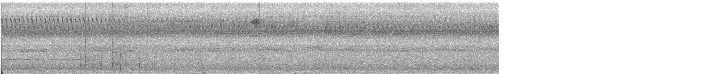 Paseriforme sp. - ML493124131