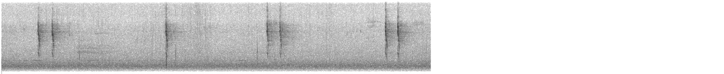 Troglodyte de Baird (groupe pacificus) - ML493144441