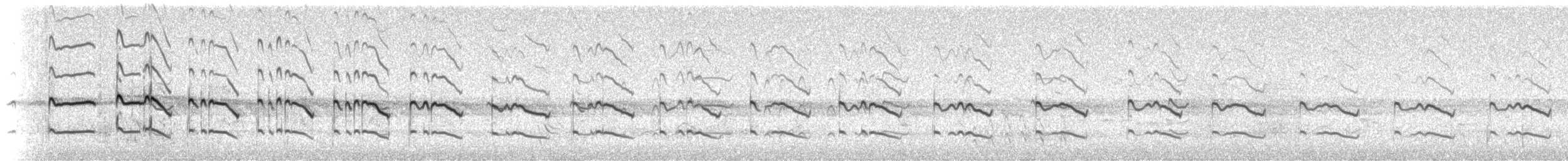 Chorlitejo Culirrojo - ML49320481