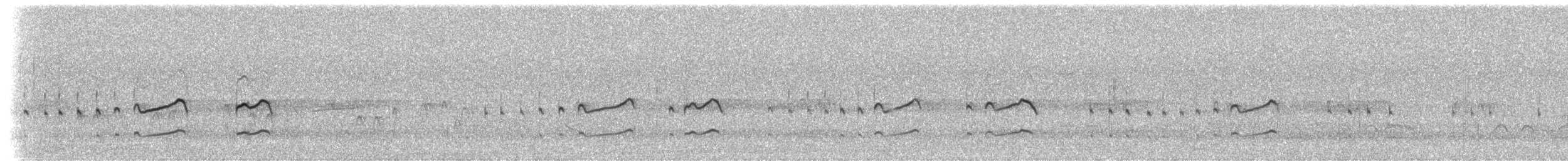 Chorlitejo Culirrojo - ML49320591